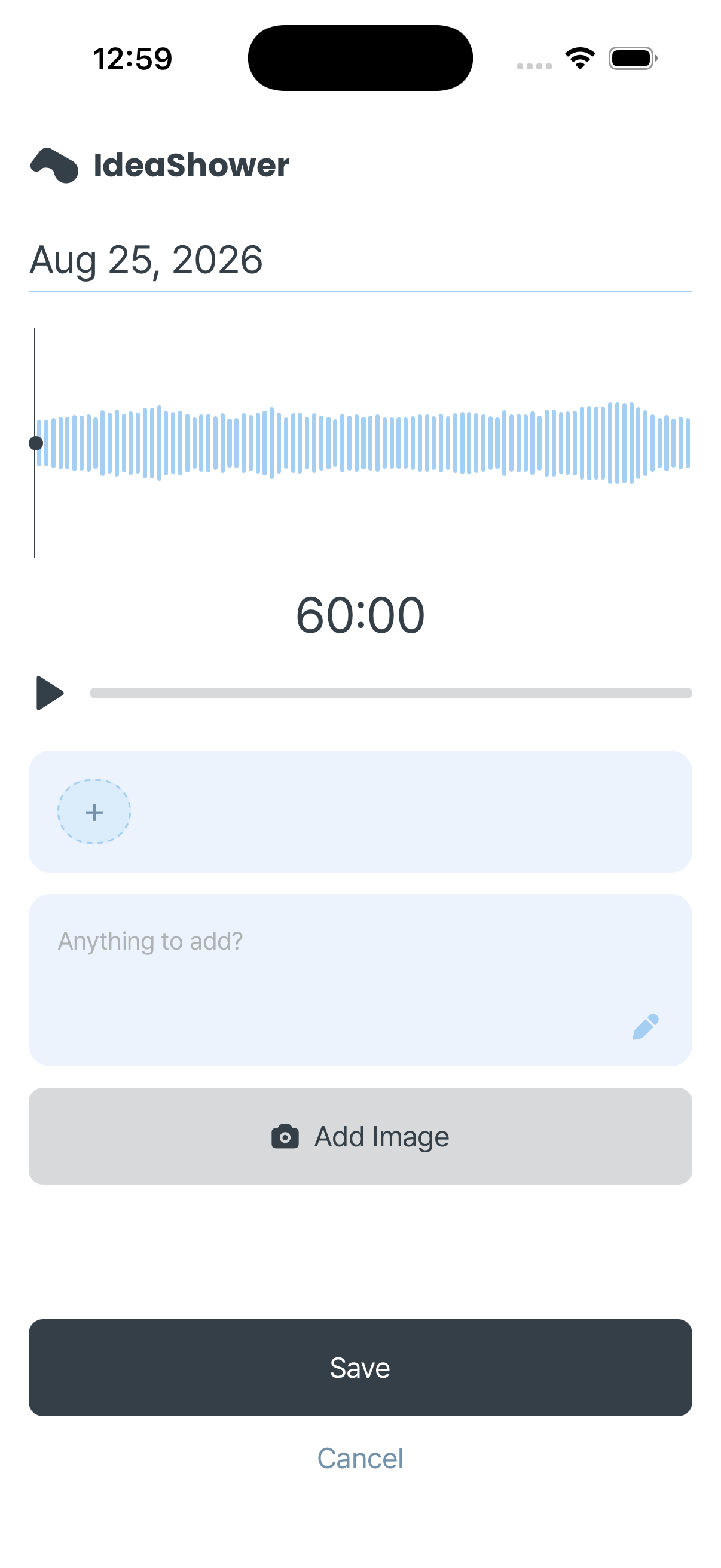 Idea Shower save screen with the transcribed capsule ready to edit
